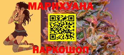 МДПВ Можга