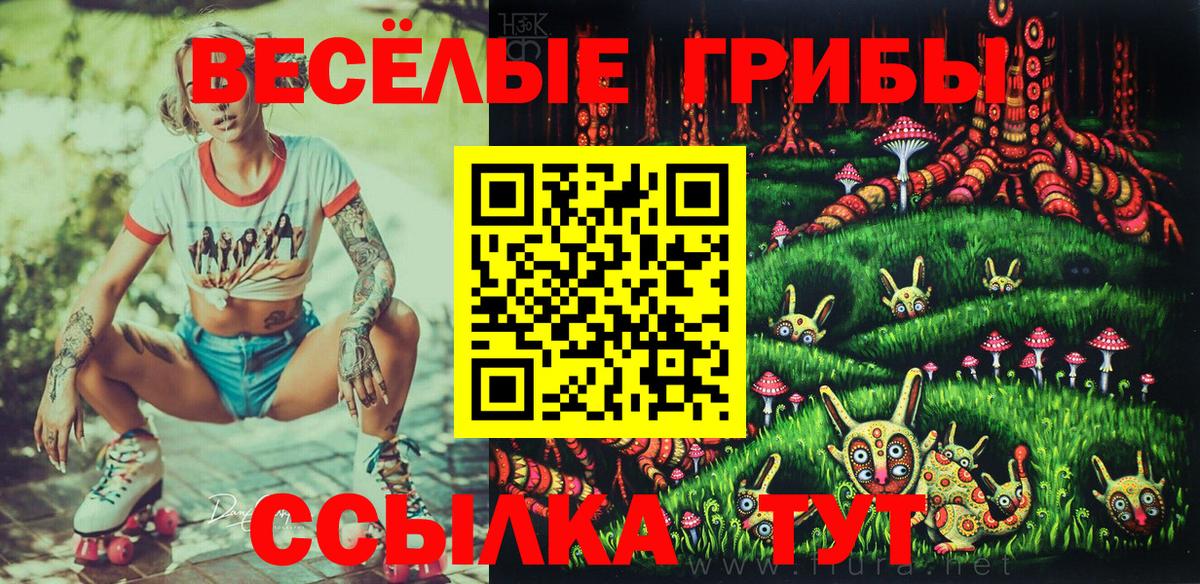Галлюциногенные грибы GOLDEN TEACHER  Вход с VPN  Галлюциногенные грибы мухоморы  Соликамск 